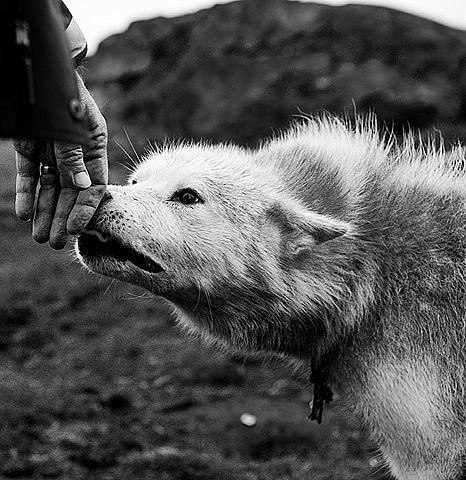 Серёга Бажанов | Саратов