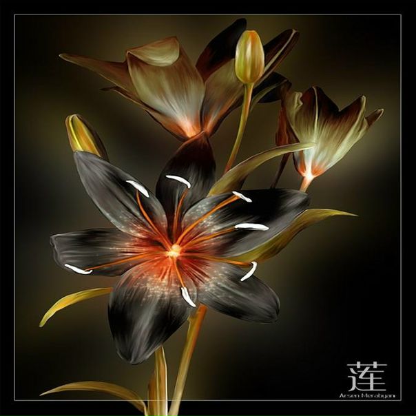 №25, Жека Евдокимов, Донецк №25, Жека Евдокимов, Донецк