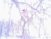 Екатерина Зуева фотография #16 (источник - https://vk.com/id136362080)