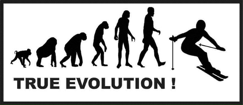 Наталія Лібер | 