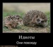 Андрей Казанков фотография #39 (источник - https://vk.com/id46462886)