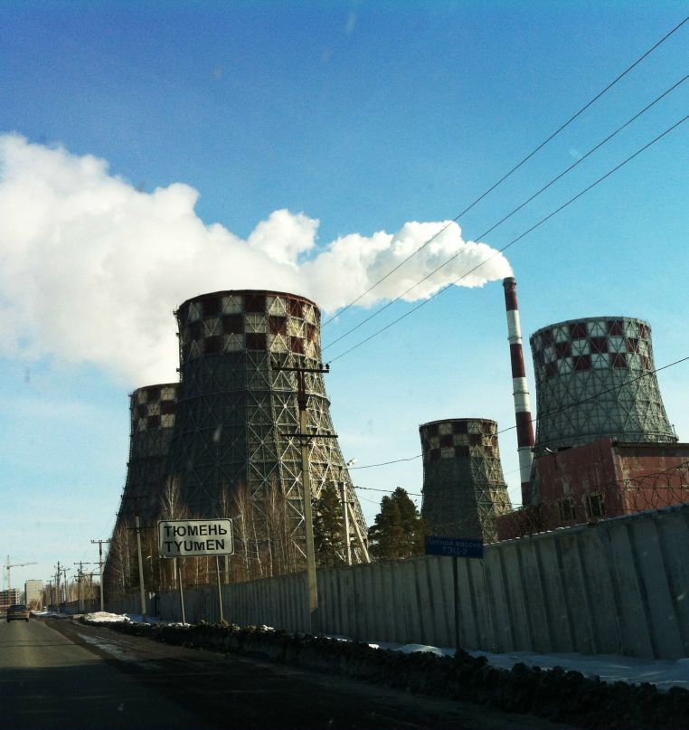 Райский Одуванчик | Санкт-Петербург