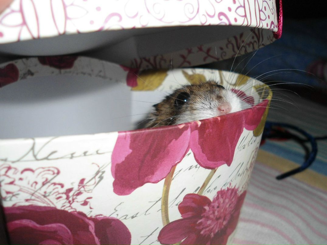 Мария Герман | Пермь