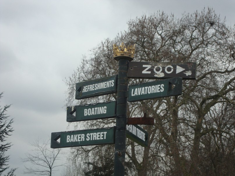 Егор Карпенков | Санкт-Петербург