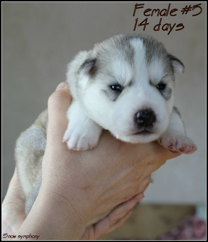 Юлия Гурьева | Уфа