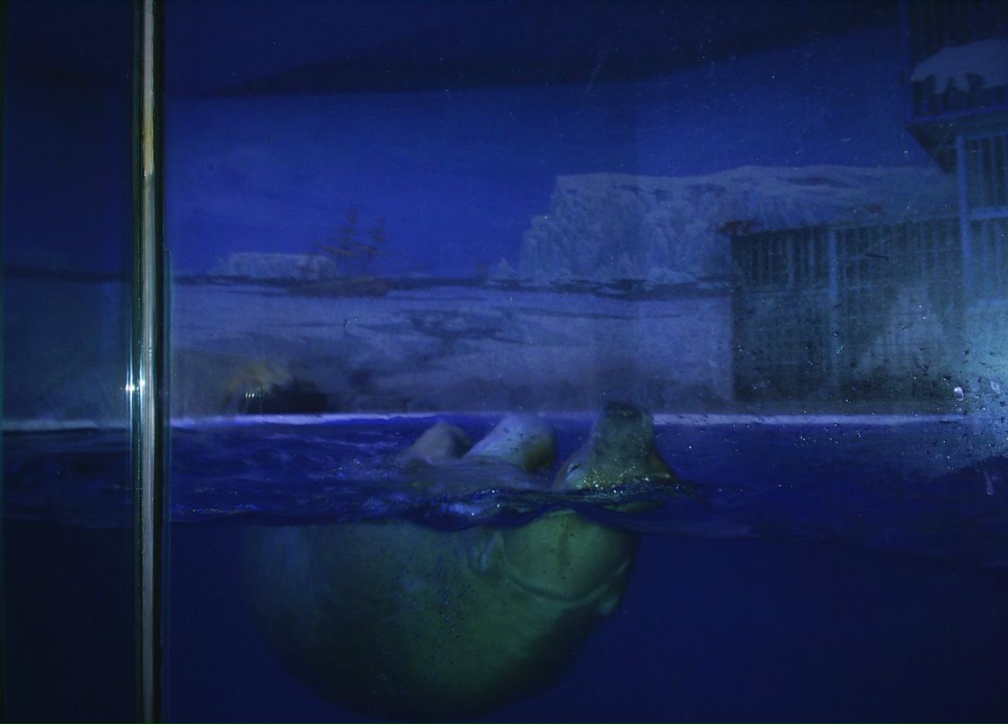 Сергей Пономарев ˙·٠✈ | Новосибирск