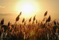 №7, Коська Денисенко, 5.2.1989, 37 лет, Москва, Россия