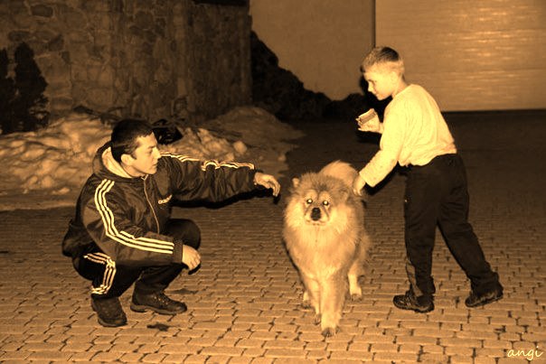 Андрій Волос | Ивано-Франковск