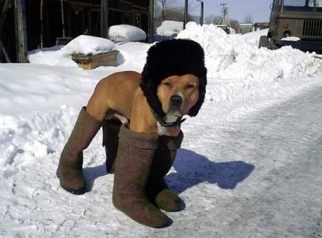 №157, Андрей Антонов, Липецк №157, Андрей Антонов, Липецк