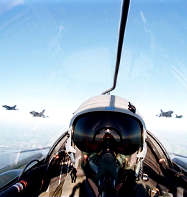 Джафар Алмазов | Auckland