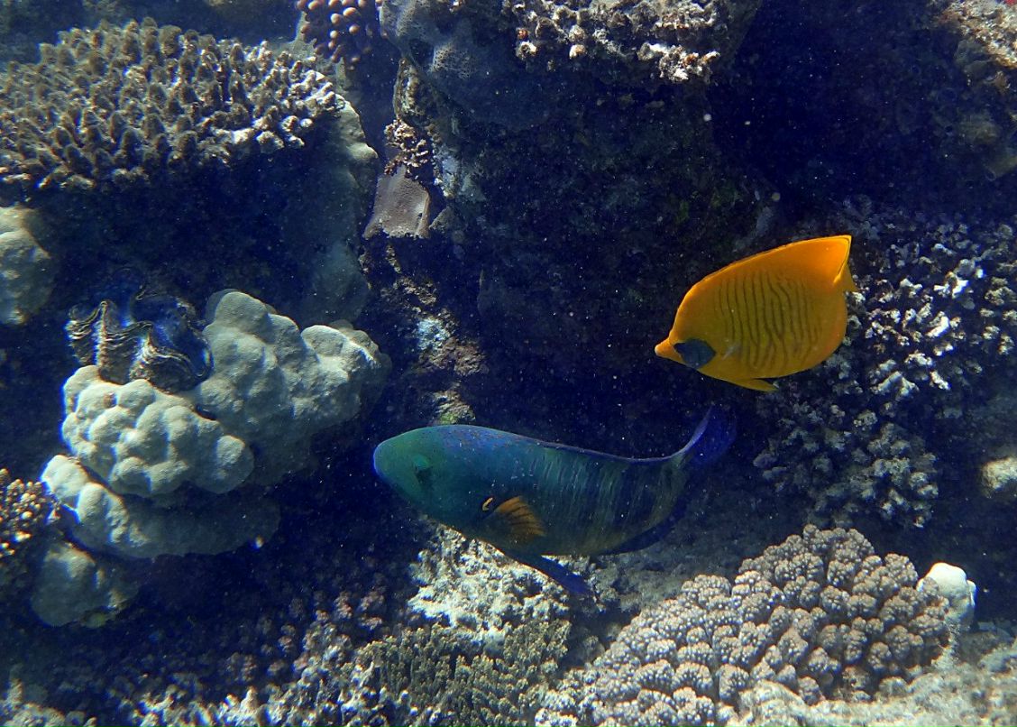 Наталья Денисова | Москва