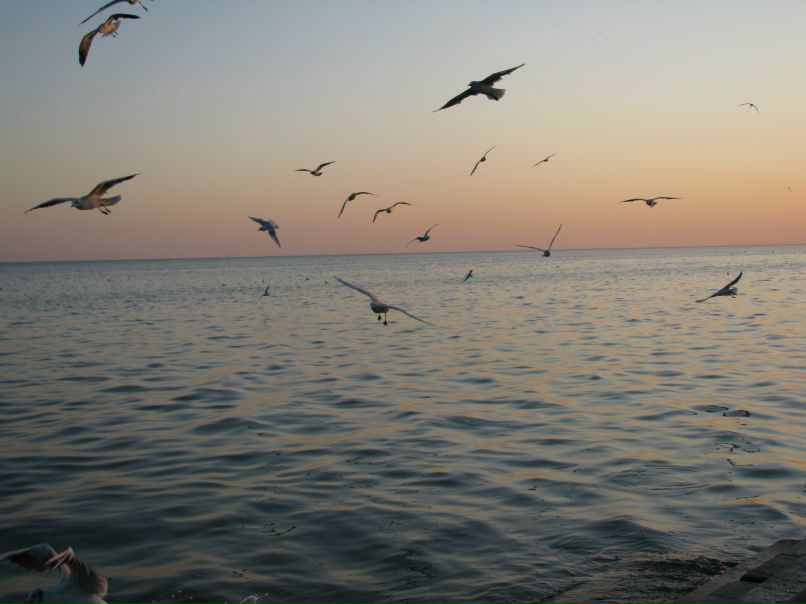 Таня Литвин | Киев