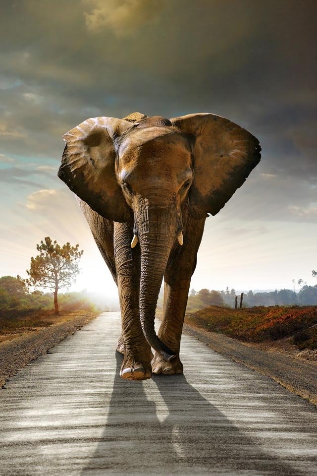 Андрей Лебедев | Москва