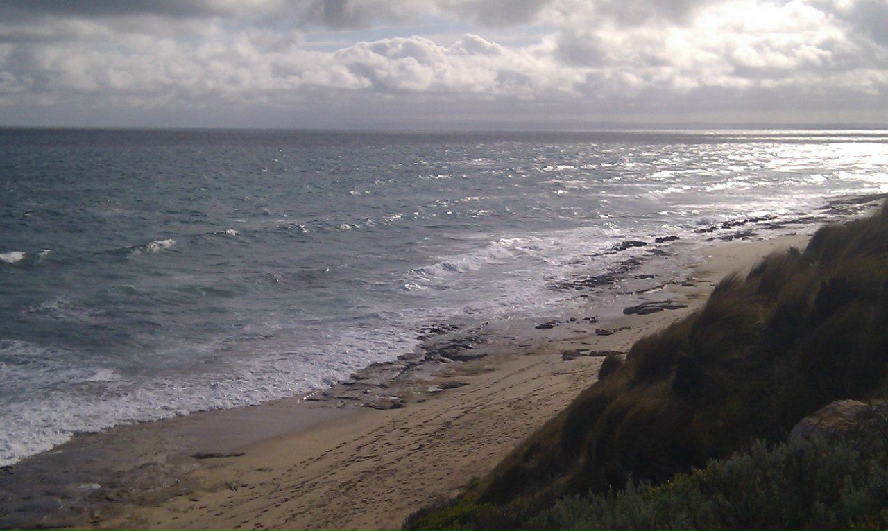 Машка Сумовская [limited edition] | Melbourne