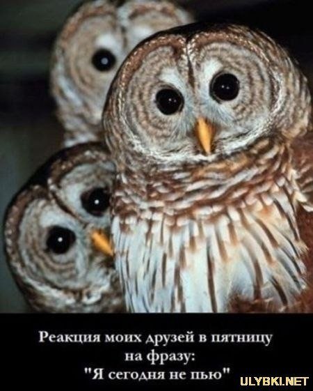 №89, Вилен Мкртчян, Одесса №89, Вилен Мкртчян, Одесса