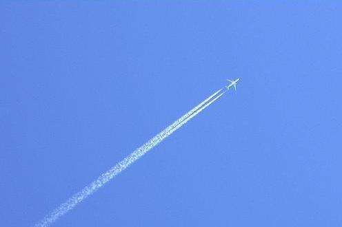 Дмитрий Обыдённов | Екатеринбург