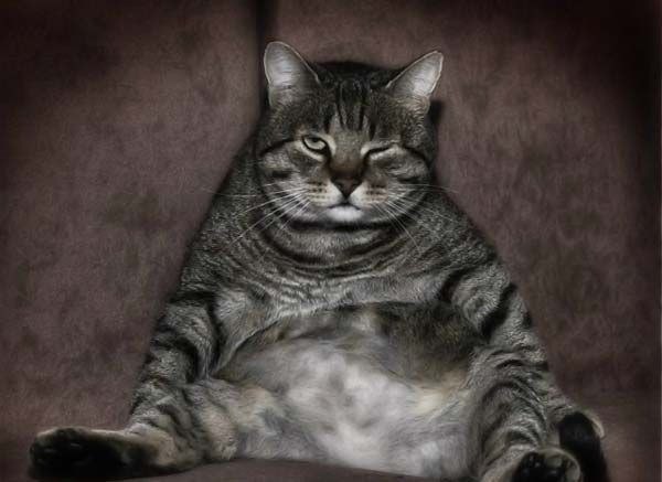 Костя Вахрушев Дэррик | Ярославль (деревня)