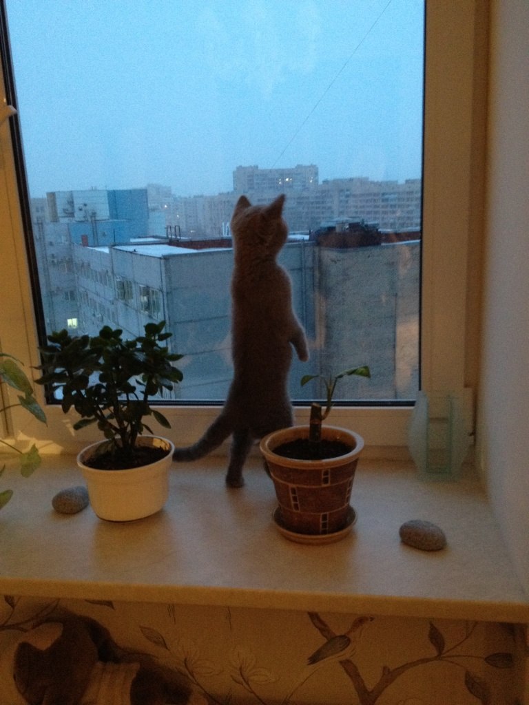 Ольга Грабилова | Санкт-Петербург