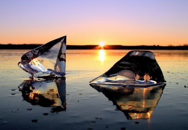 Галчонок Паша ✔ | 