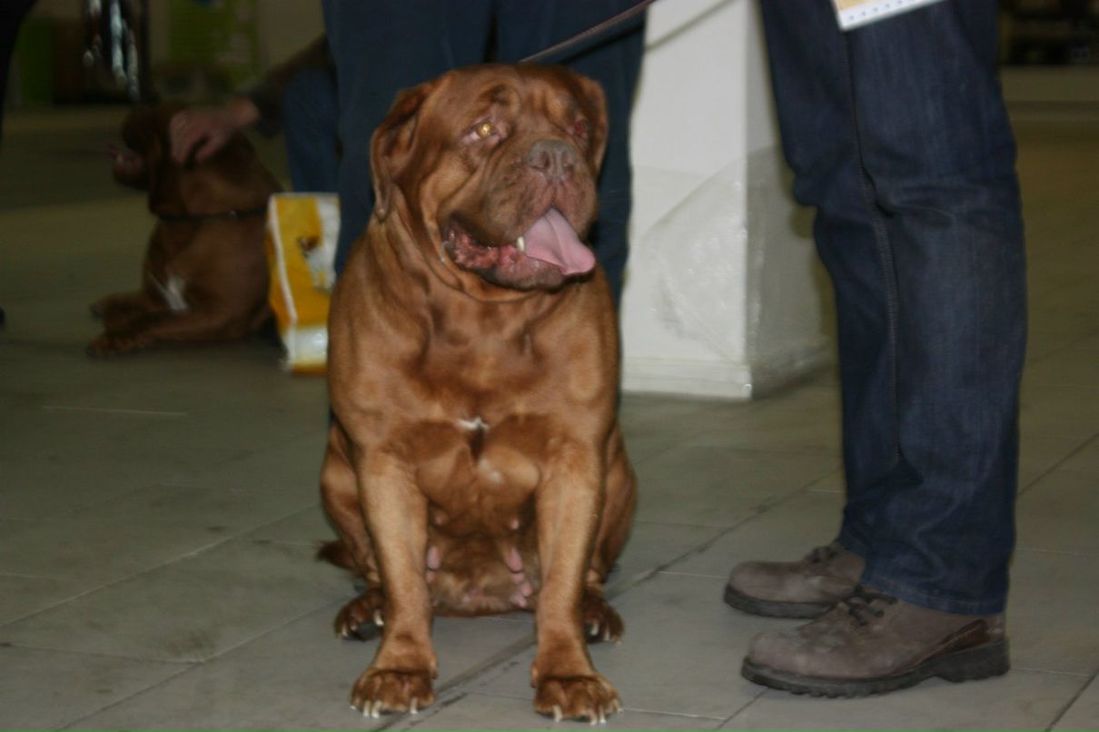 Екатерина Иванова | Санкт-Петербург