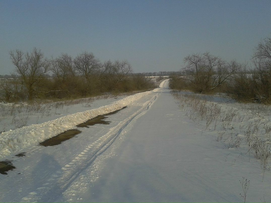 Серёга Буряга | Николаев