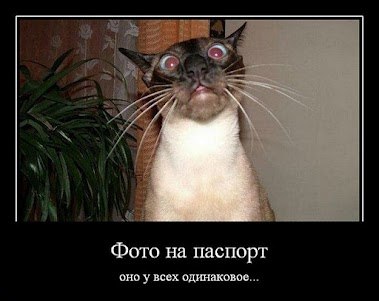 Ольга Макарова | Dubai