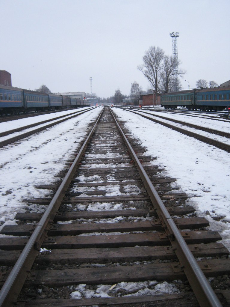 Слава Рева | Сумы