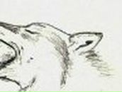 Алина Тычина | Бобруйск