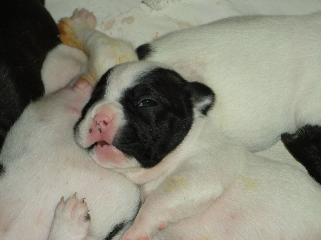 Александр Цап | Харьков