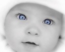 Фотография Елена Сластёна
