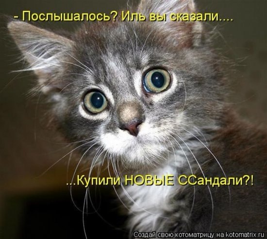 Тоня Чумакова | Абакан