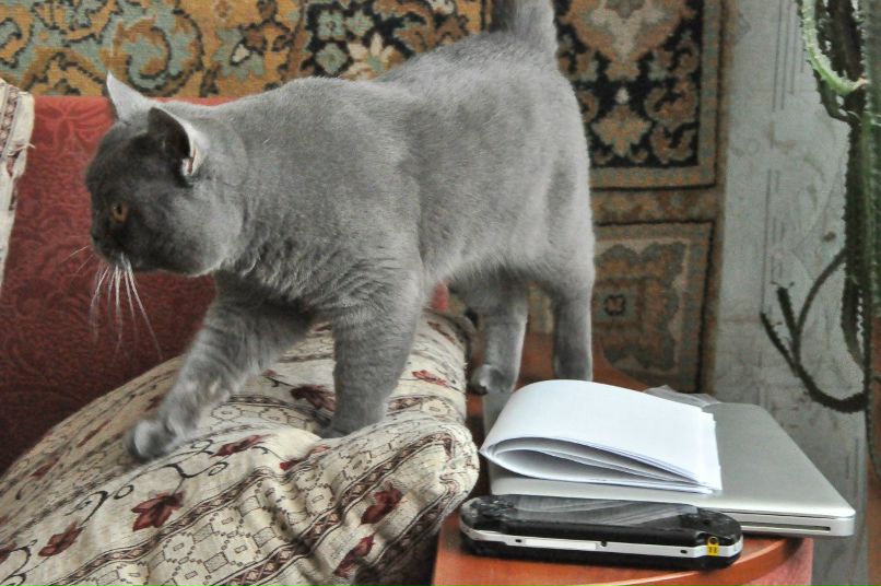 Ира Ибрагимова | Харьков