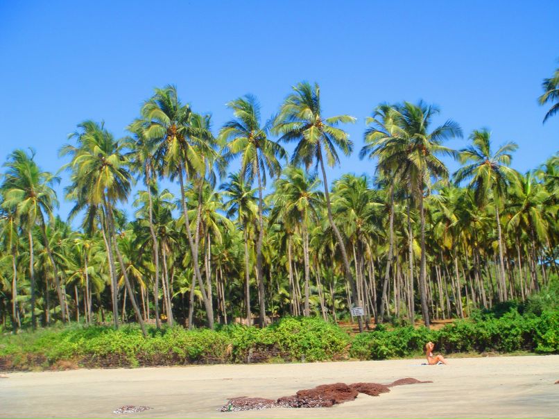 Маша Жарикова | Москва