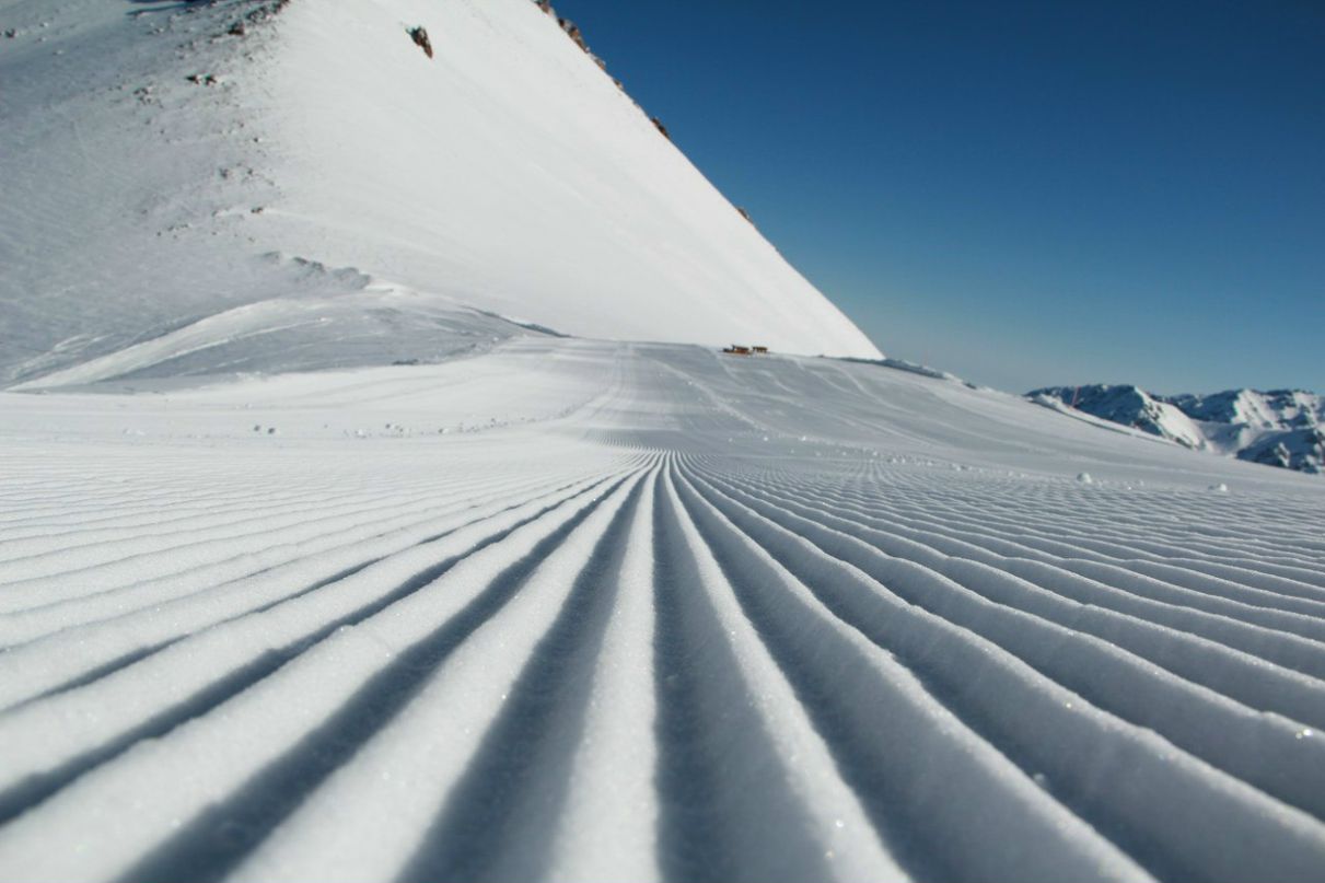 Дмитрий Шкарбанов | Алматы