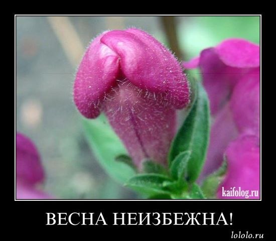 Sunny Life | Волгоград