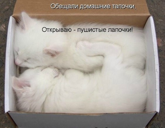 №21, Татьяна Кутуть, 55 лет, Северодонецк №21, Татьяна Кутуть, 55 лет, Северодонецк