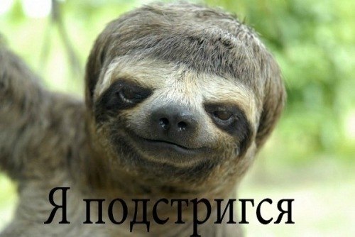 Александр Старушенко | Днепр (Днепропетровск)