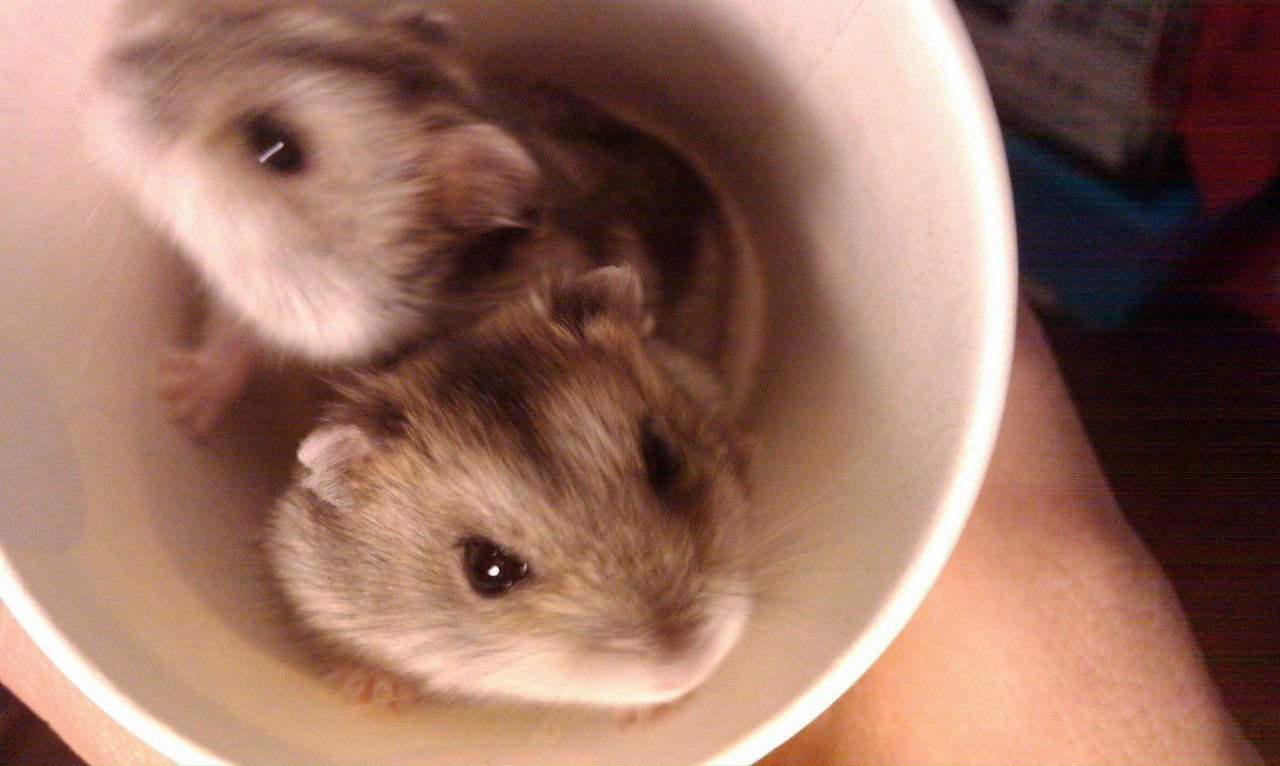 Вероника Малоненкова | Санкт-Петербург