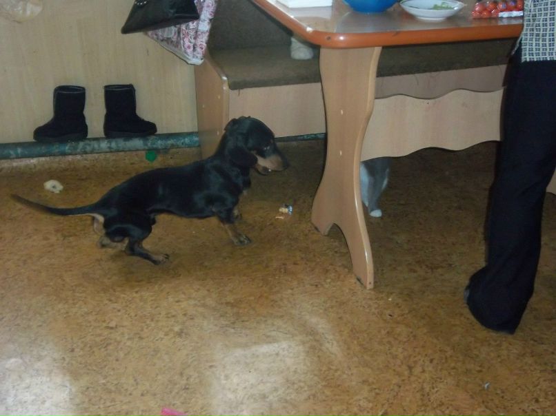 Надежда Сукачёва | Пестравка