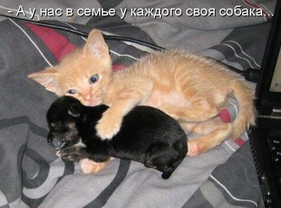 Ирина Широкожухова | Североморск