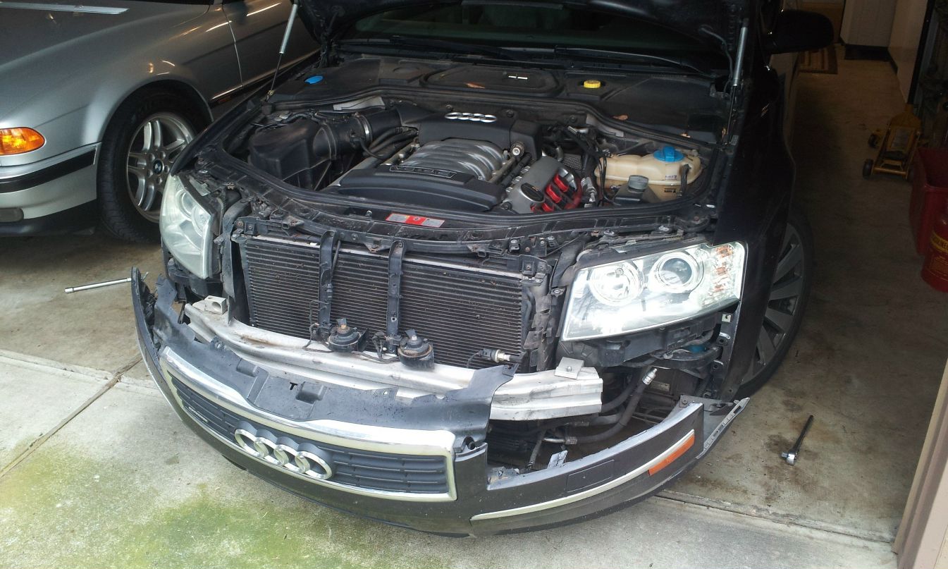 Саша Лаплантов | Portland