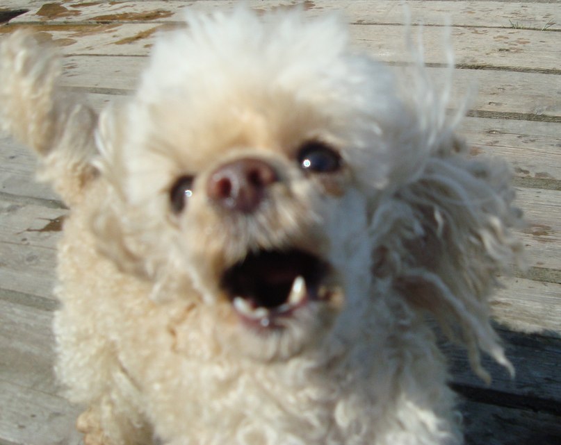 Николай Егоров Анатольевич | Санкт-Петербург