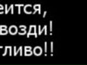 Арсений-Олег Васильев | Санкт-Петербург