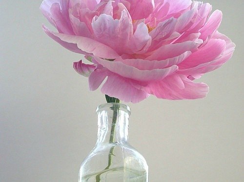 №94, Б Е С №94, Б Е С