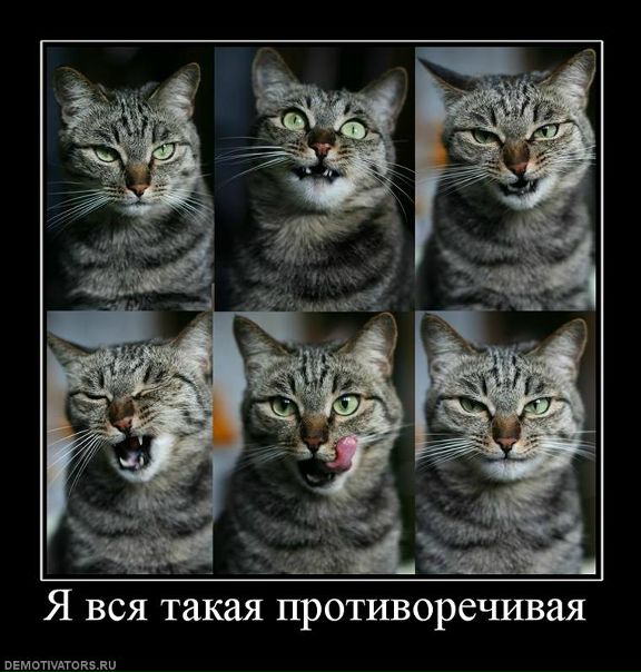 №8, Анютка , Bergen auf Rügen, Германия №8, Анютка , Bergen auf Rügen, Германия