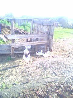 №7, Александр Карнаух №7, Александр Карнаух