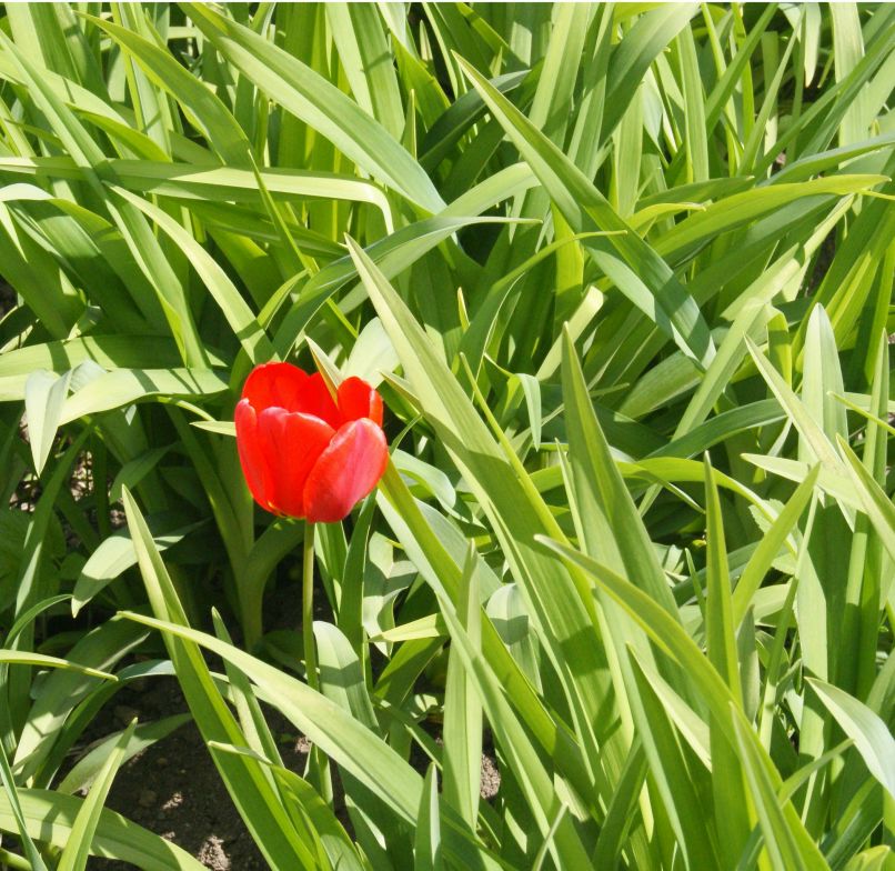 Дарья Алексеева | Екатеринбург