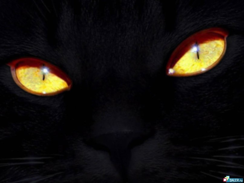 Нина Минько-Качалова | Череповец