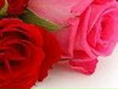 Кристина Петраш | Запорожье