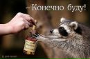 №11 Илья Гапанович 03.03.1993: профиль, фото, статус - ВКонтакте